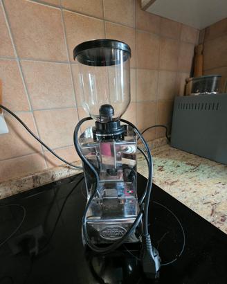 Quick Mill Apollo 060 Evo macinacaffè in acciaio
