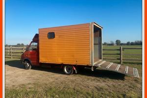 DAILY 35.10 - PORTA CAVALLI