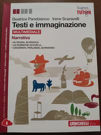 libro TESTI E IMMAGINAZIONE 