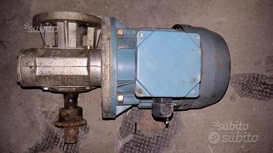 Motore elettrico asincrono trifase con variatore