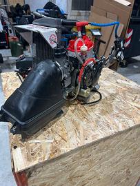 Motore Rotax max evo 125 Junior go-kart