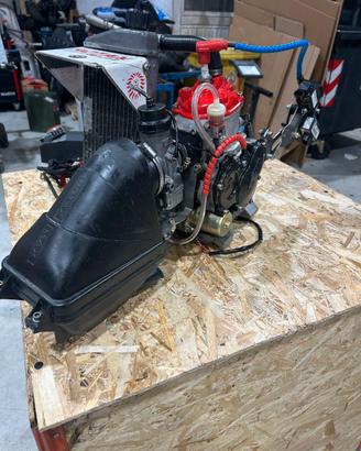 Motore Rotax max evo 125 Junior go-kart