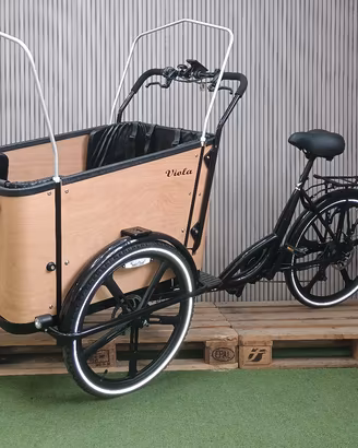 Cargo Bike Sun 4 posti Elettrica Usato 