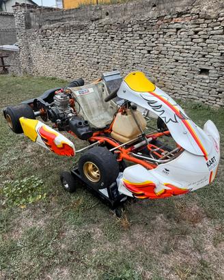 go kart iame x30