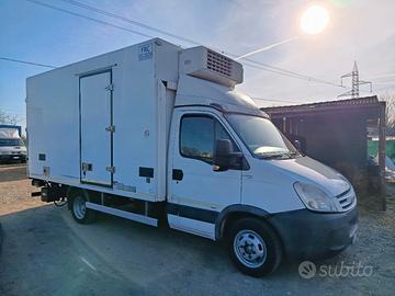 Iveco Daily 50C15 cella frigo pedana idraulica 