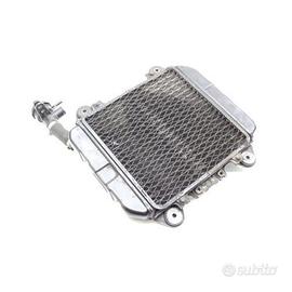 RADIATORE KAWASAKI ZZR 250 1990 1998