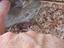 Immagine 4