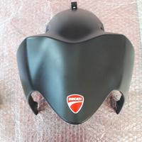 Parafango Anteriore in Carbonio Ducati Monster 821