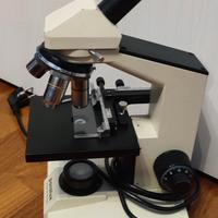 Microscopio ottico Paralux