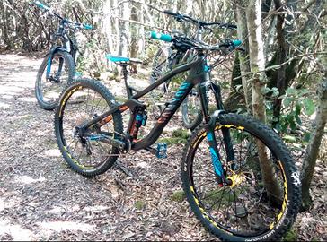 MTB Canyon strive cf 9.0 race