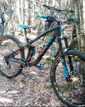 MTB Canyon strive cf 9.0 race