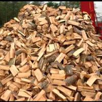 legna da ardere secca 
