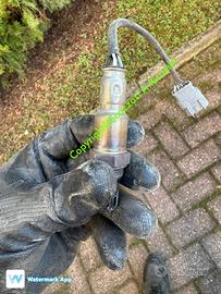 Sonda Lambda Lancia Ypsilon anno 2011 Fi