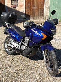 Honda Transalp 650 (2004) - Blu