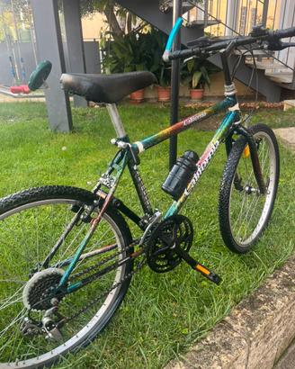 Mountain bike taglia 24