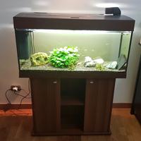 Acquario 200 litri Ferplast