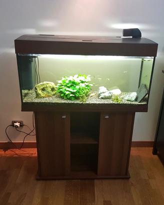 Acquario 200 litri Ferplast