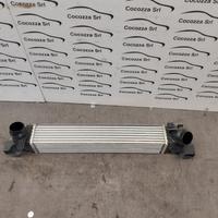 INTERCOOLER MINI MINI COUNTRYMAN (F60) 1.5 Benz