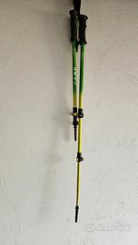 Bastoncini da trekking