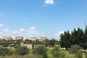 TERRENO AGRICOLO_Salento (Tricase)