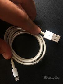 Apple cable