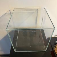 Acquario Elos 31x31x31