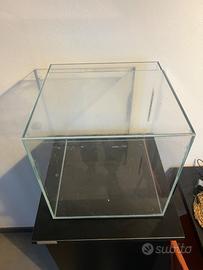Acquario Elos 31x31x31