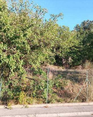 Terreno di 2045 m² a Magione