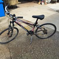 bicicletta  moro