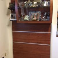 Vetrina pensile per esposizioni varie