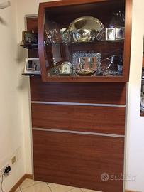 Vetrina pensile per esposizioni varie