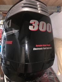 Ricambi Suzuki 300 del 2011