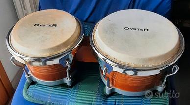 bongo Oyster e djembe 12" Toca
