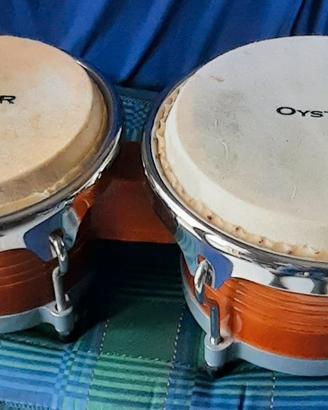 bongo Oyster e djembe 12" Toca