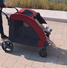 passeggino cane