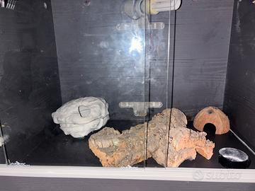 Terrario per gechi o piccoli rettili