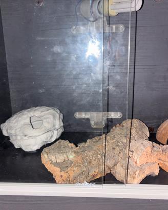 Terrario per gechi o piccoli rettili