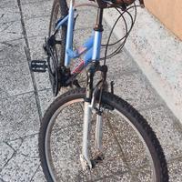 Mountain-bike ruota 26