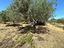 Immagine 28