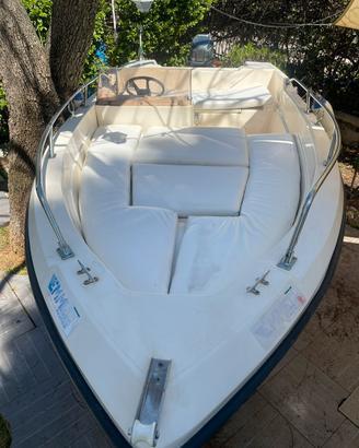 Barca California 460 + Evinrude XP 25cv + accessor