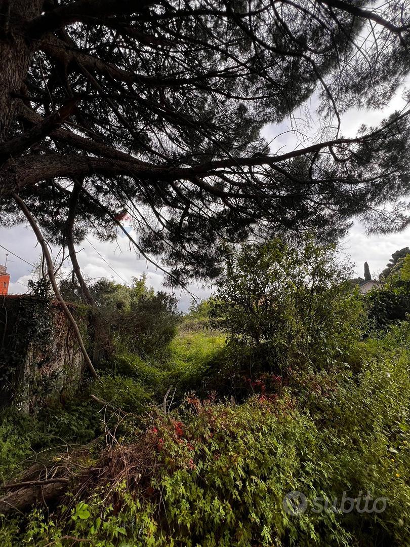 Terreno Edificabile - Mascalucia - Vista 4