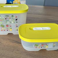2 contenitori frigo Tupperware 