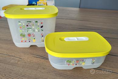 2 contenitori frigo Tupperware 