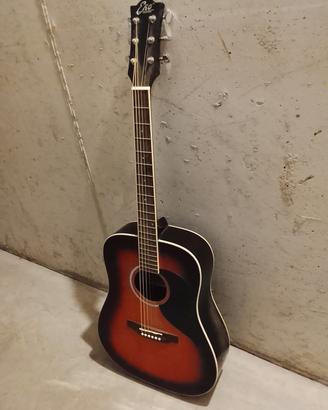 chitarra eko