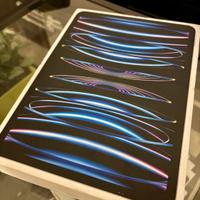 Ipad Pro 11 m2 256gb