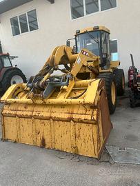 PALA GOMMATA VENIERI VF 7.63