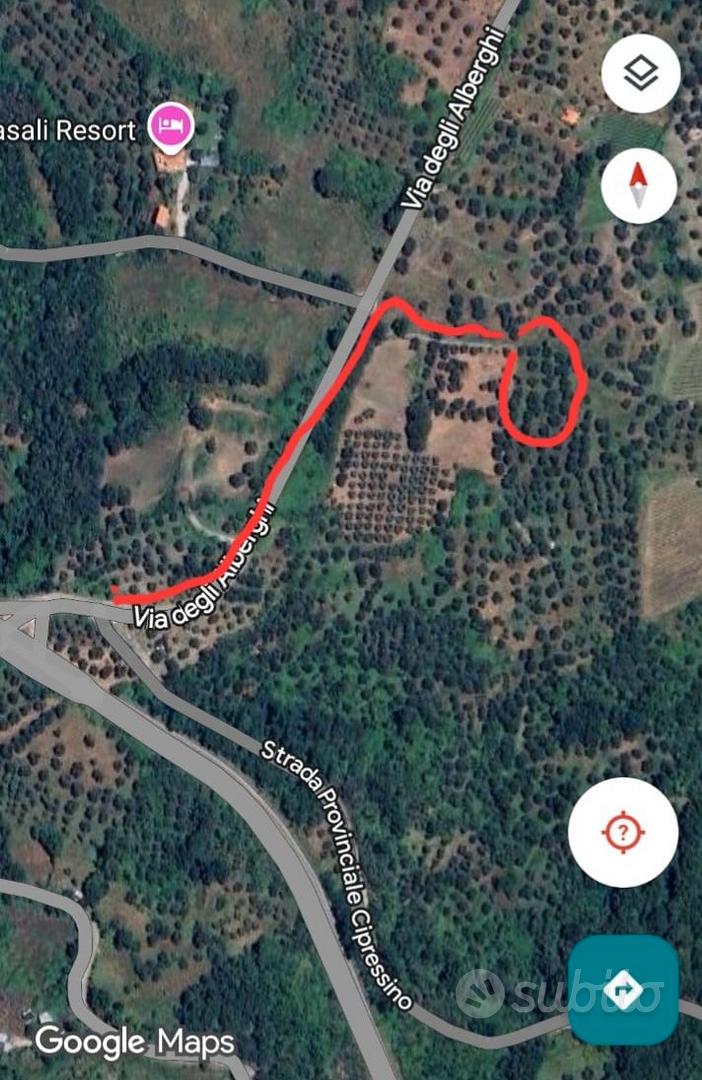 Terreno con olivi - Vista 3