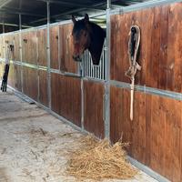 Maneggio scuderia e paddock