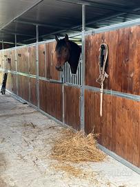 Maneggio scuderia e paddock