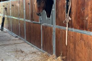 Maneggio scuderia e paddock